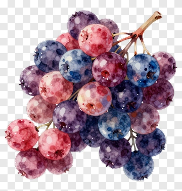 Watercolor Berry Cluster PNG