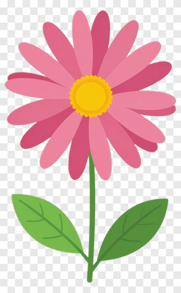 Pink Daisy Flower With Green Leaves PNG