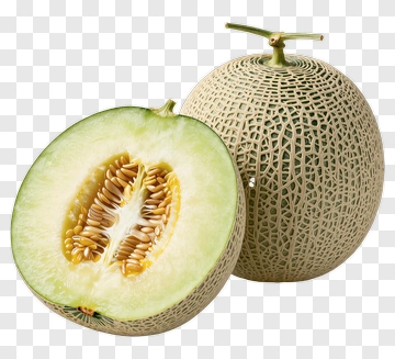 Fresh Cantaloupe Melon PNG