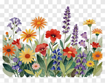 Watercolor Garden Of Flowers PNG