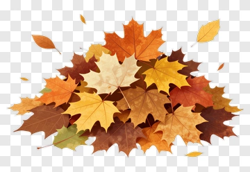 Autumn Leaves In Warm Colors PNG