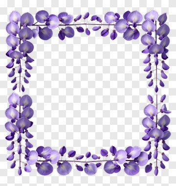 Purple Wisteria Flower Frame PNG