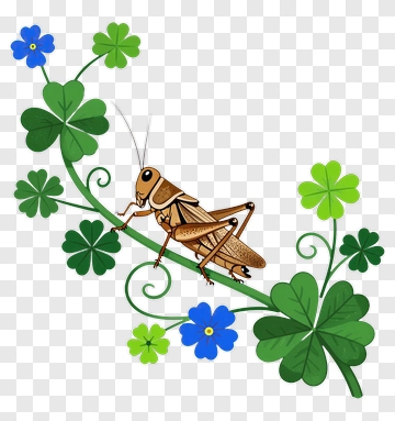 Grasshopper On Clover And Blue Flowers PNG