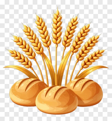 Golden Bread And Wheat PNG