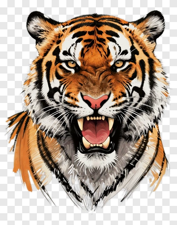 Tiger PNG