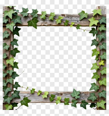 Ivy Growing On Wooden Frame PNG