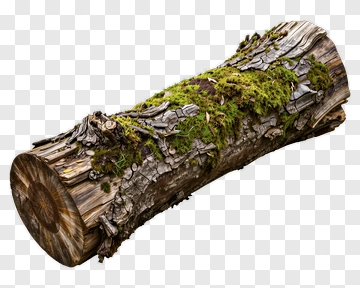 Moss Covered Log PNG