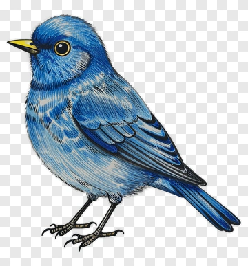 Blue Bird Illustration PNG