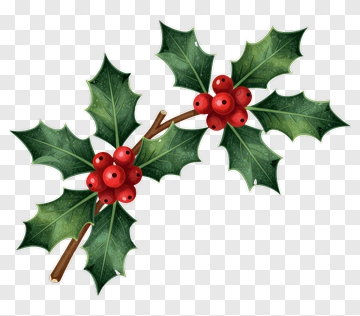 Holly With Red Berries PNG