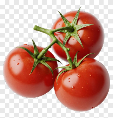 Three Tomatoes On Vine PNG