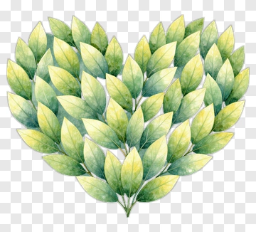 Heart Shaped Leaf Arrangement PNG