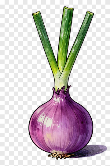 Hand-drawn Purple Onion Illustration PNG