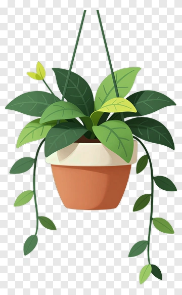 Hanging Green Plant With Vines PNG