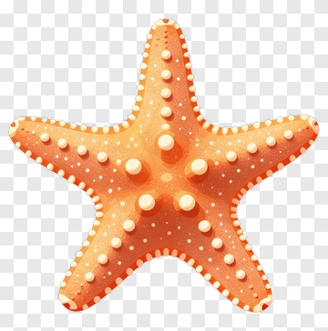 Orange Starfish With White Spots PNG