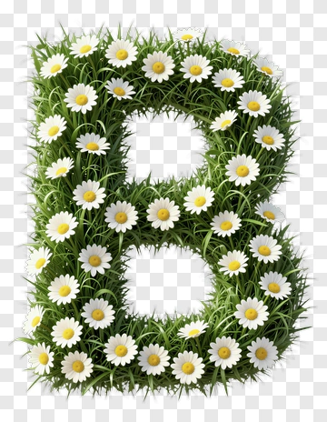 Letter B Made Of Daisy And Grass PNG