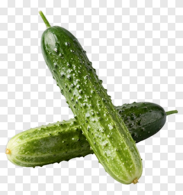 Fresh Cucumber PNG
