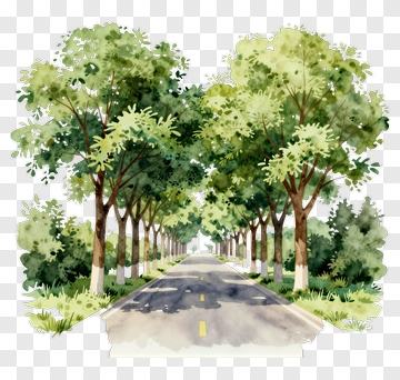 Watercolor Trees Along A Road PNG