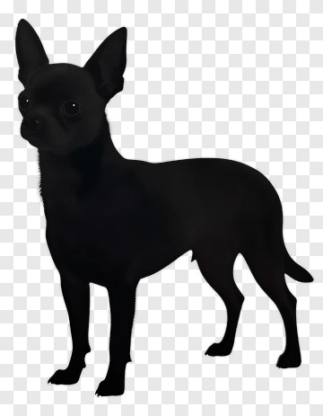 Black Chihuahua Standing PNG