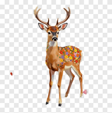 Deer Among Flowers PNG