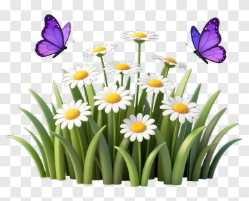 Daisies And Butterflies In A Garden PNG