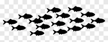 School Of Fish Silhouettes PNG