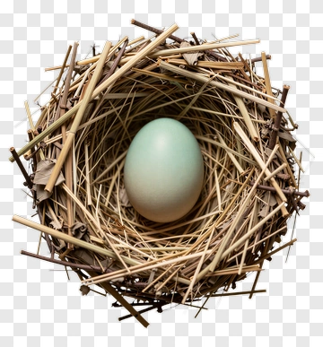 Bird Nest With Blue Egg PNG