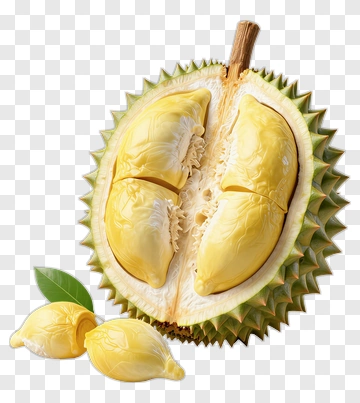 Durian Fruit Cut Open PNG