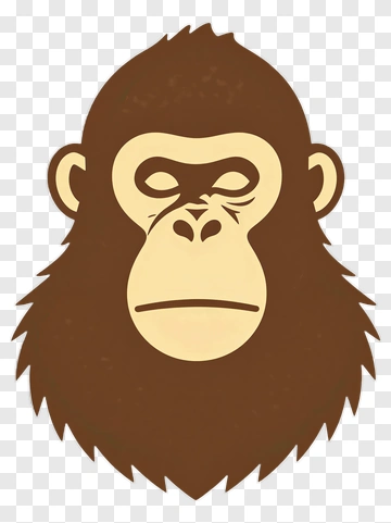Monkey PNG