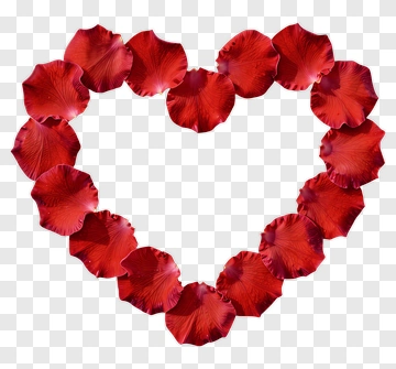 Heart Shape Made Of Rose Petals PNG