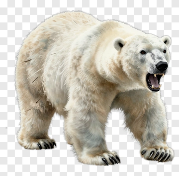 Polar Bear Roaring PNG