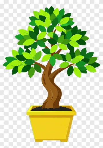 Potted Tree With Yellow Pot PNG