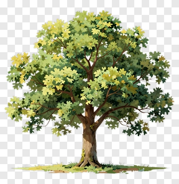 A Cartoon Tree With Green And Yellow Leaves PNG