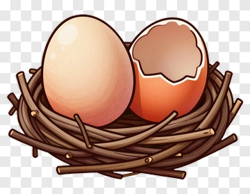 Egg In Nest PNG