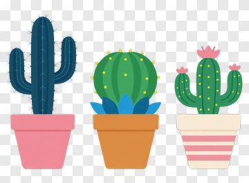 Three Cacti In Flower Pots PNG