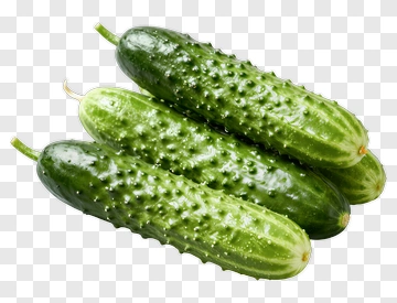 Fresh Cucumber PNG