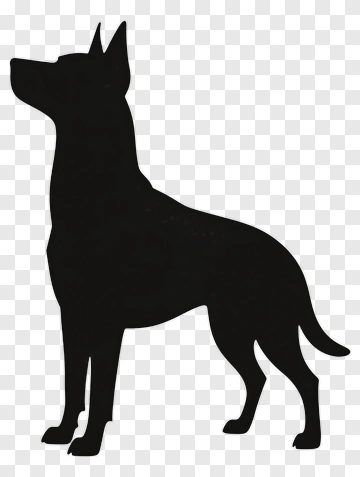 Black Dog Silhouette PNG