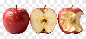 Three Stages Of An Apple PNG