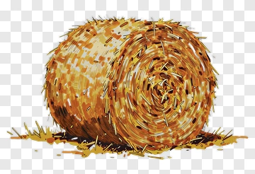 Hand-drawn Hay Bale PNG