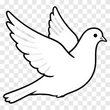 Flying Dove PNG