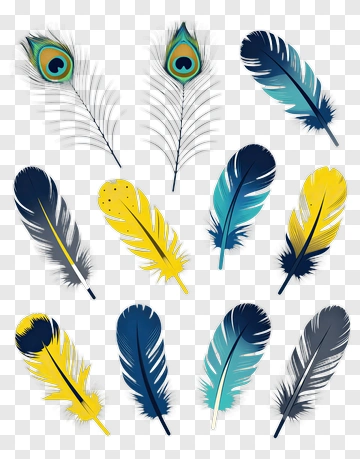 Collection Of Colorful Illustrated Feathers PNG