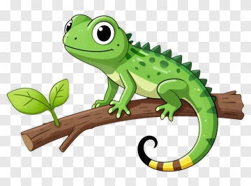 Green Gecko On Branch PNG