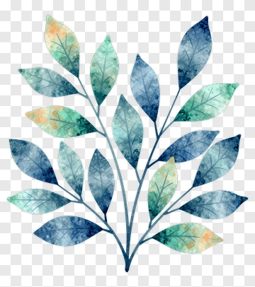 Watercolor Leaf Branch Design PNG