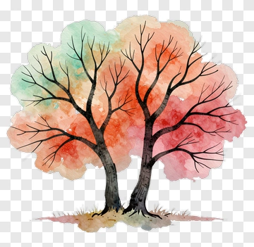 Two Trees In Watercolor Style PNG