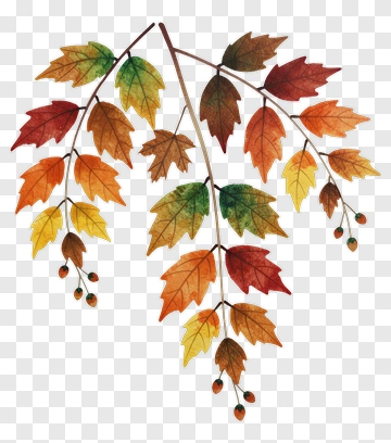 Autumn Leaves With Berries PNG