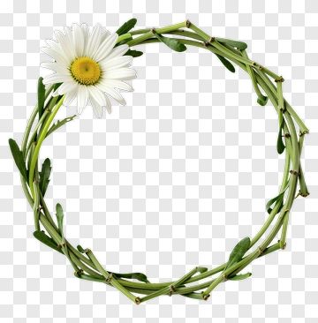 Daisy Wreath With Green Stem PNG