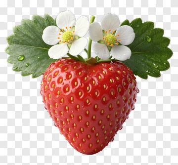 Heart-shaped Strawberry With White Flowers PNG