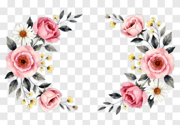 Pink Roses And Daisies Watercolor Floral Design PNG