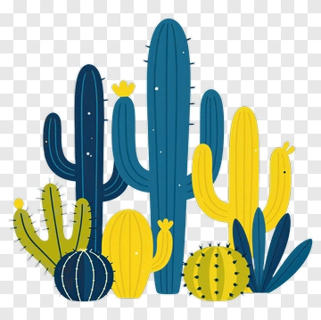 Colorful Cactus Collection PNG