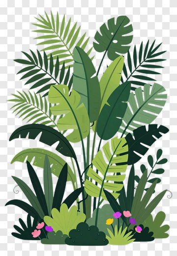 Tropical Plants Collection PNG