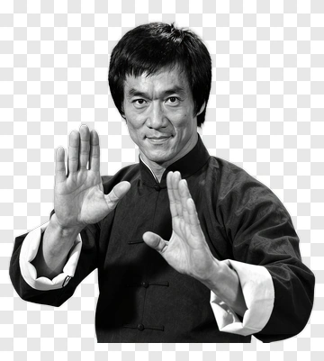 Bruce Lee In Kung Fu Stance PNG